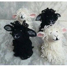 Black & White Sheep